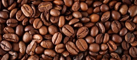 Cà phê hạt Robusta rang mộc giá sỉ